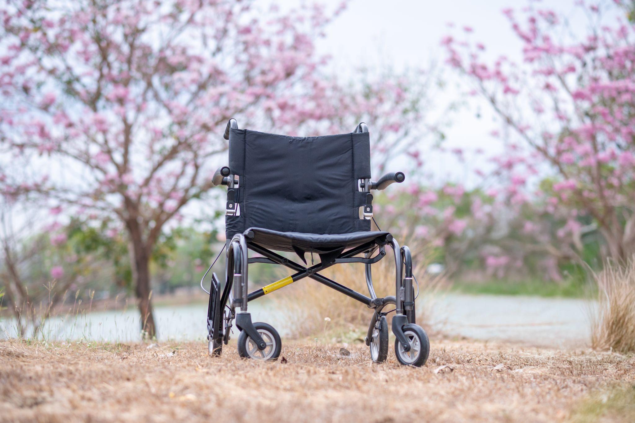 Wheelchair positioned outdoors near blooming pink trees